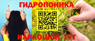 2c-b Кинель
