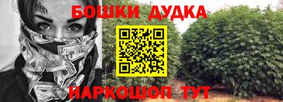 дживик Кингисепп
