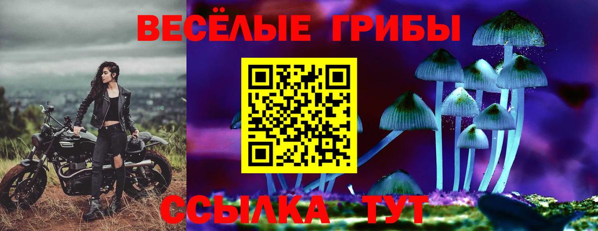 Псилоцибиновые грибы прущие грибы  Вход с VPN  наркотики  Псилоцибиновые грибы мицелий  Чита 