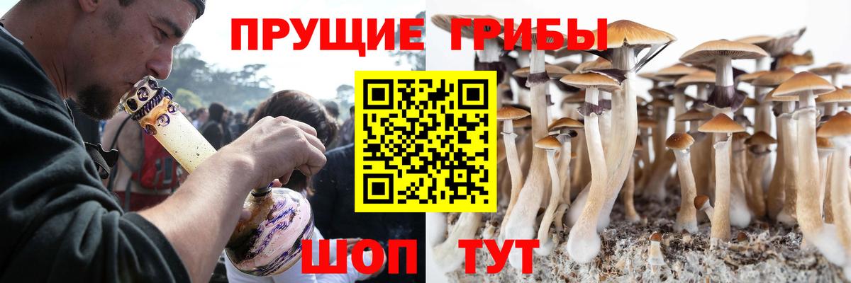 Псилоцибиновые грибы GOLDEN TEACHER Чита